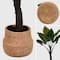 American Art Decor 4ft Artificial Rainbow Taro Tree in Cement Pot Faux Plant